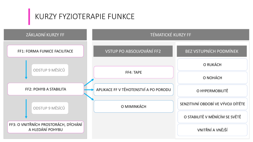 Kurzy Fyzioterapie funkce